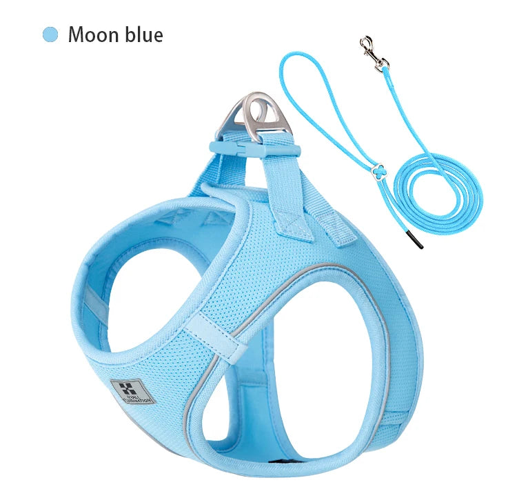 Reflective Outdoor Walking Harness Set