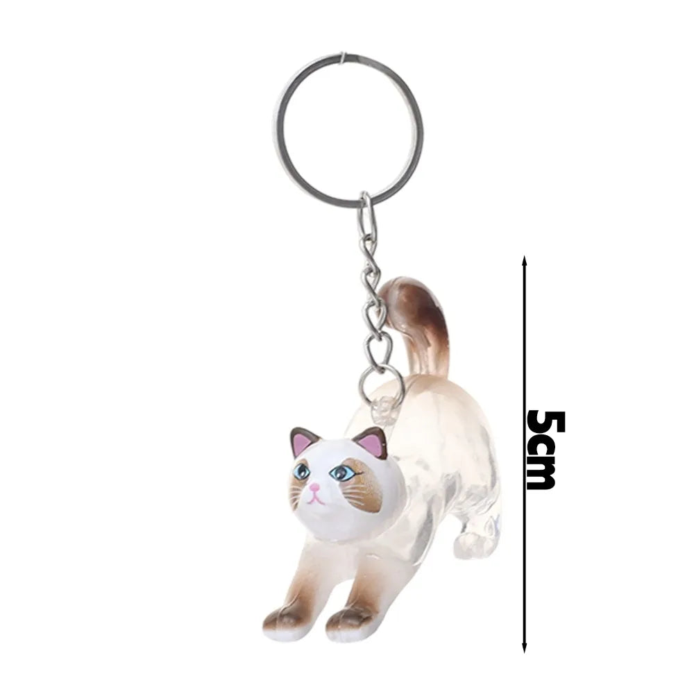 New Cat Hair Storage Keychain Bag Pendant Transparent Pet Fur Keepsake Capsule Souvenir Collection Gift Decoration Accessories