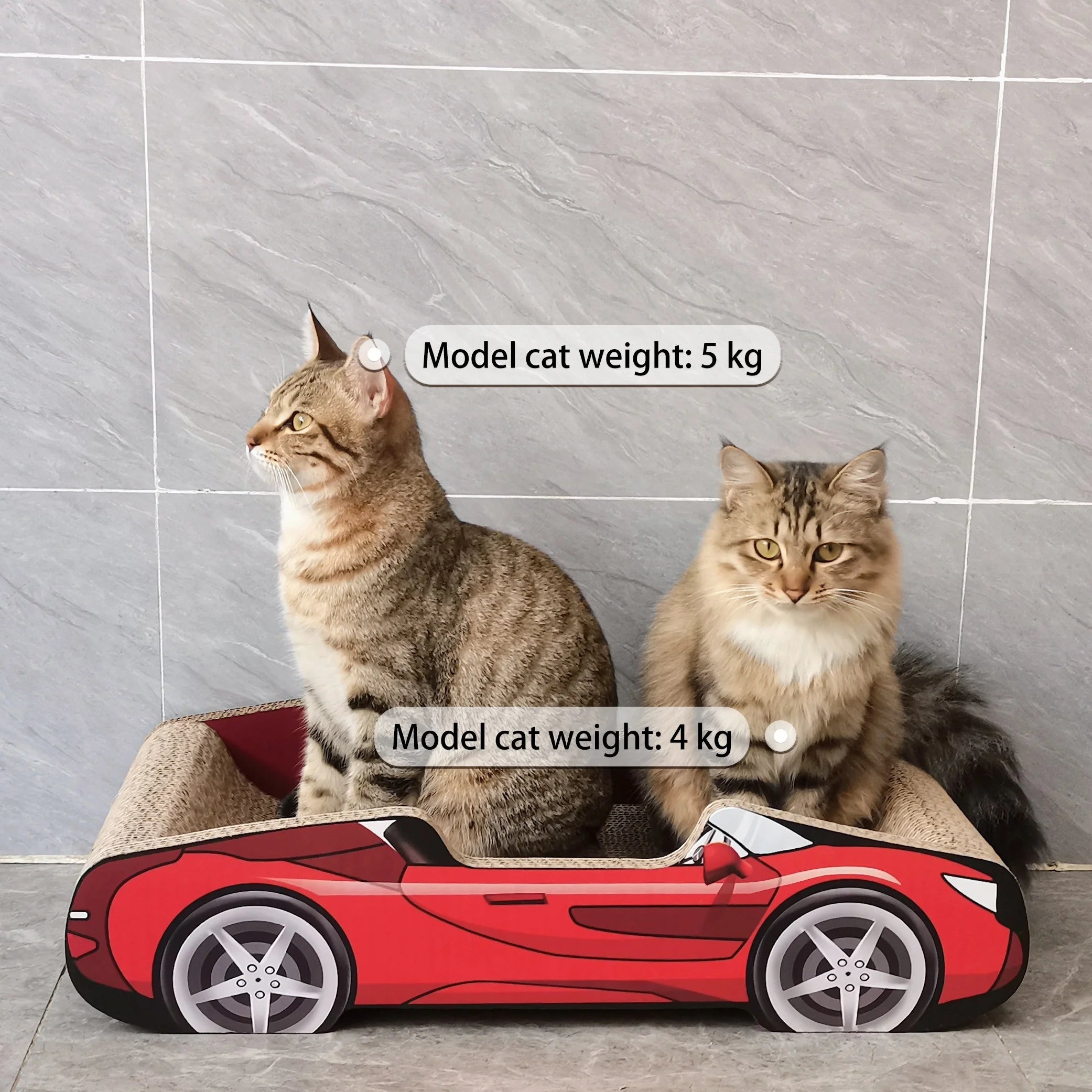 Cute Cat Beds Kitten Bed Soft and Cozy Small Dog Beds with Pillow Washable Pet Mat for Puppy and Kitty Funny Supercar Cat Toys