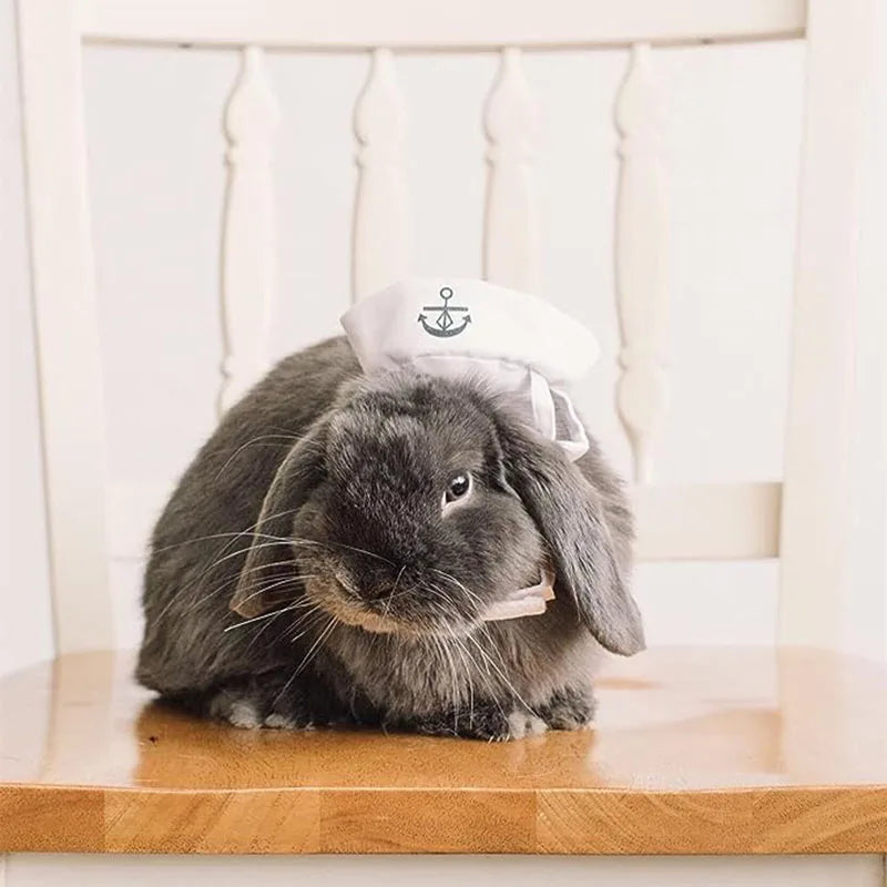 Navy Sailor Pet Halloween Costume