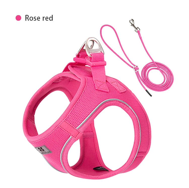 Reflective Outdoor Walking Harness Set
