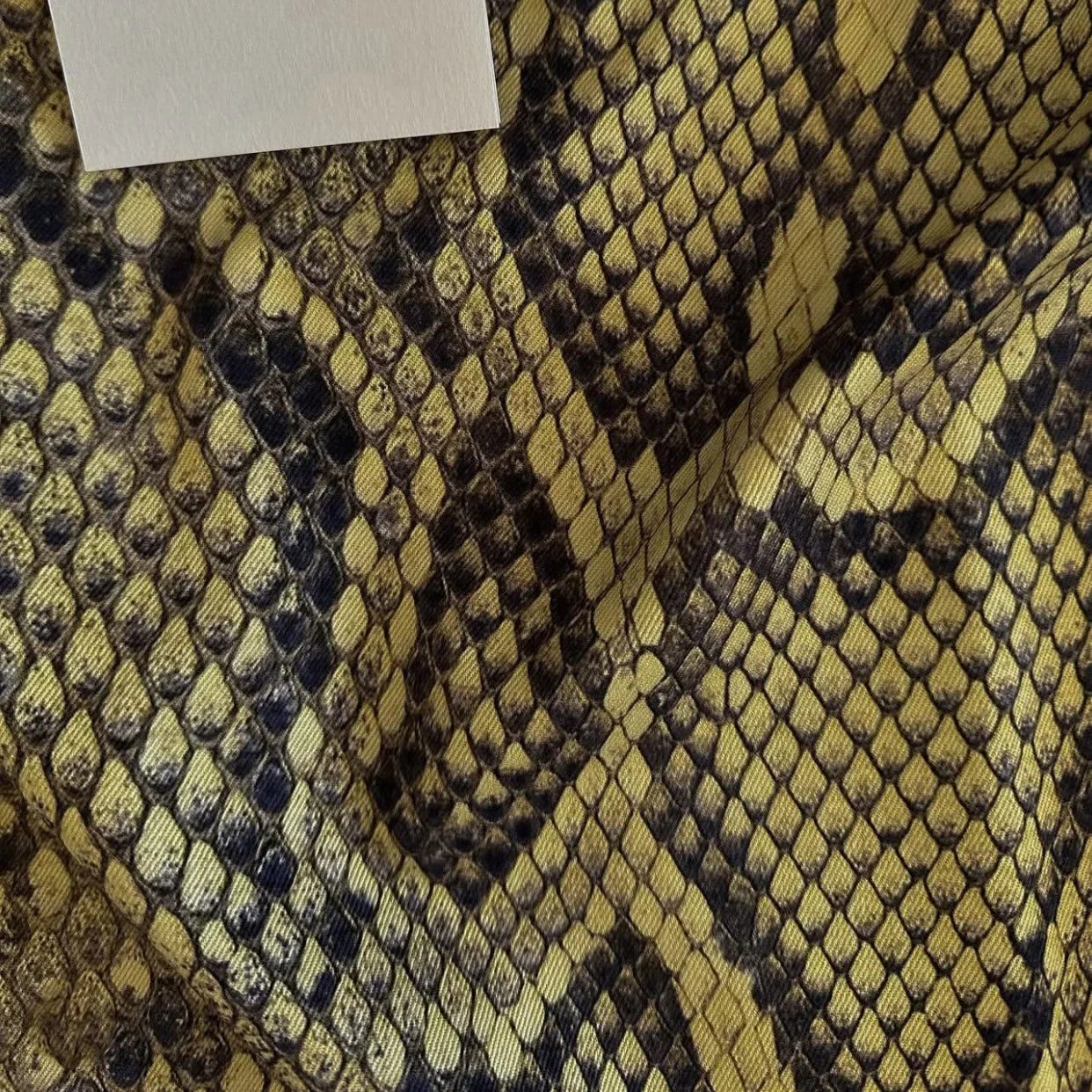 Snakeskin Printed Fashion Premium Edition