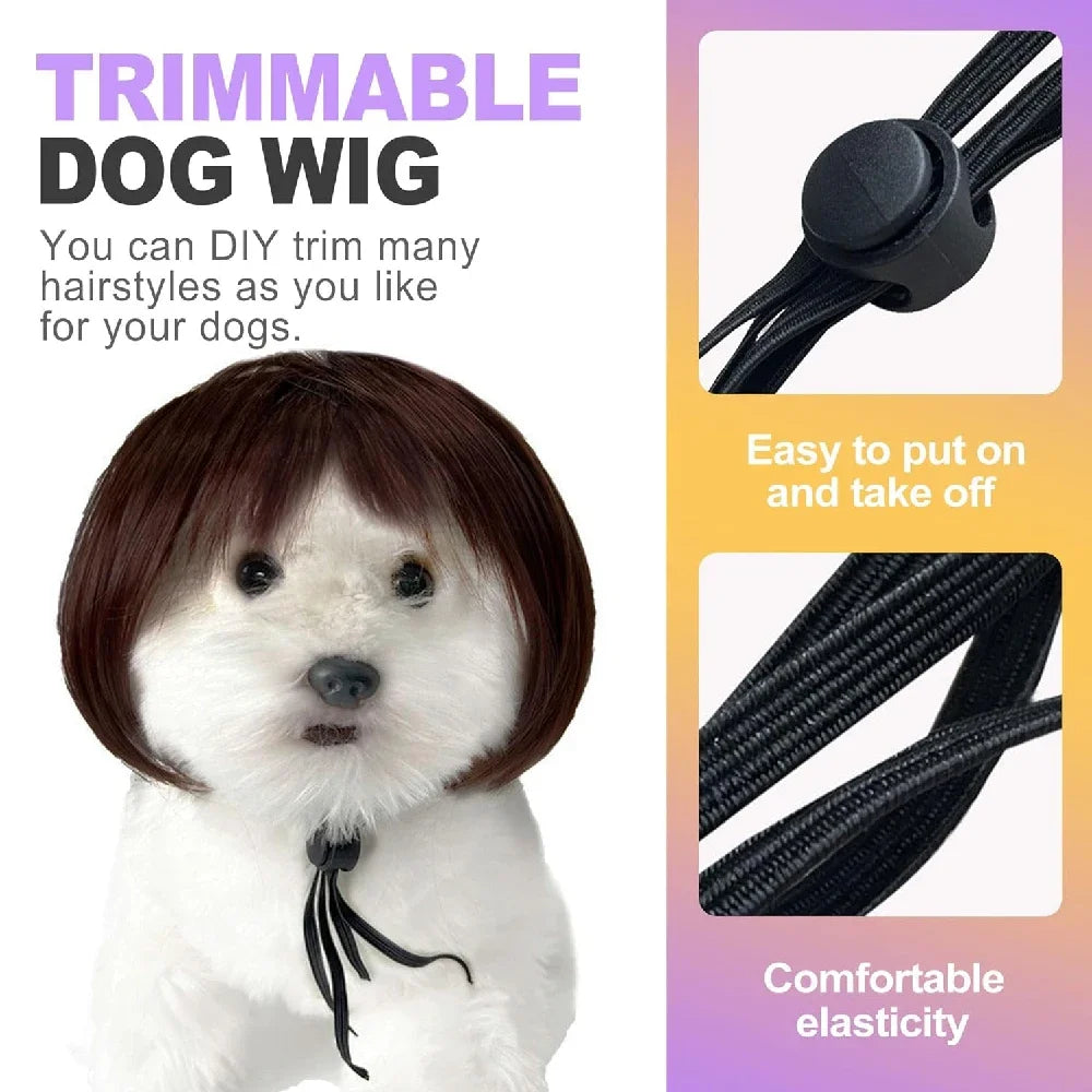 Pet Wigs Cosplay Props Dog Cat Cross-Dressing Hair Set Photography Funny Props Head Accessories Prank Pet Supplies Costumes DIY