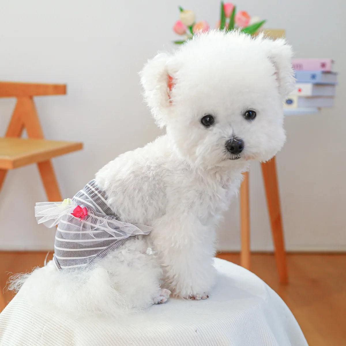 Striped Cotton Puppy Panties Set