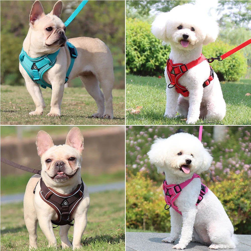 Padded Breakaway Vest Harness Set