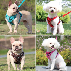 Padded Breakaway Vest Harness Set