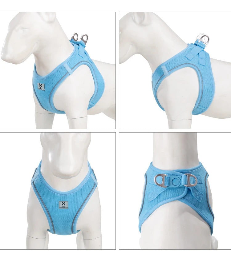Reflective Outdoor Walking Harness Set