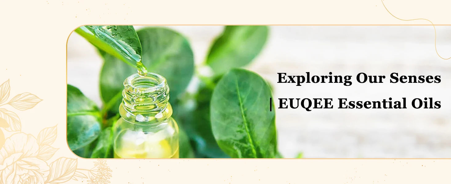 Large Bottle Aromatherapy Essential Oil