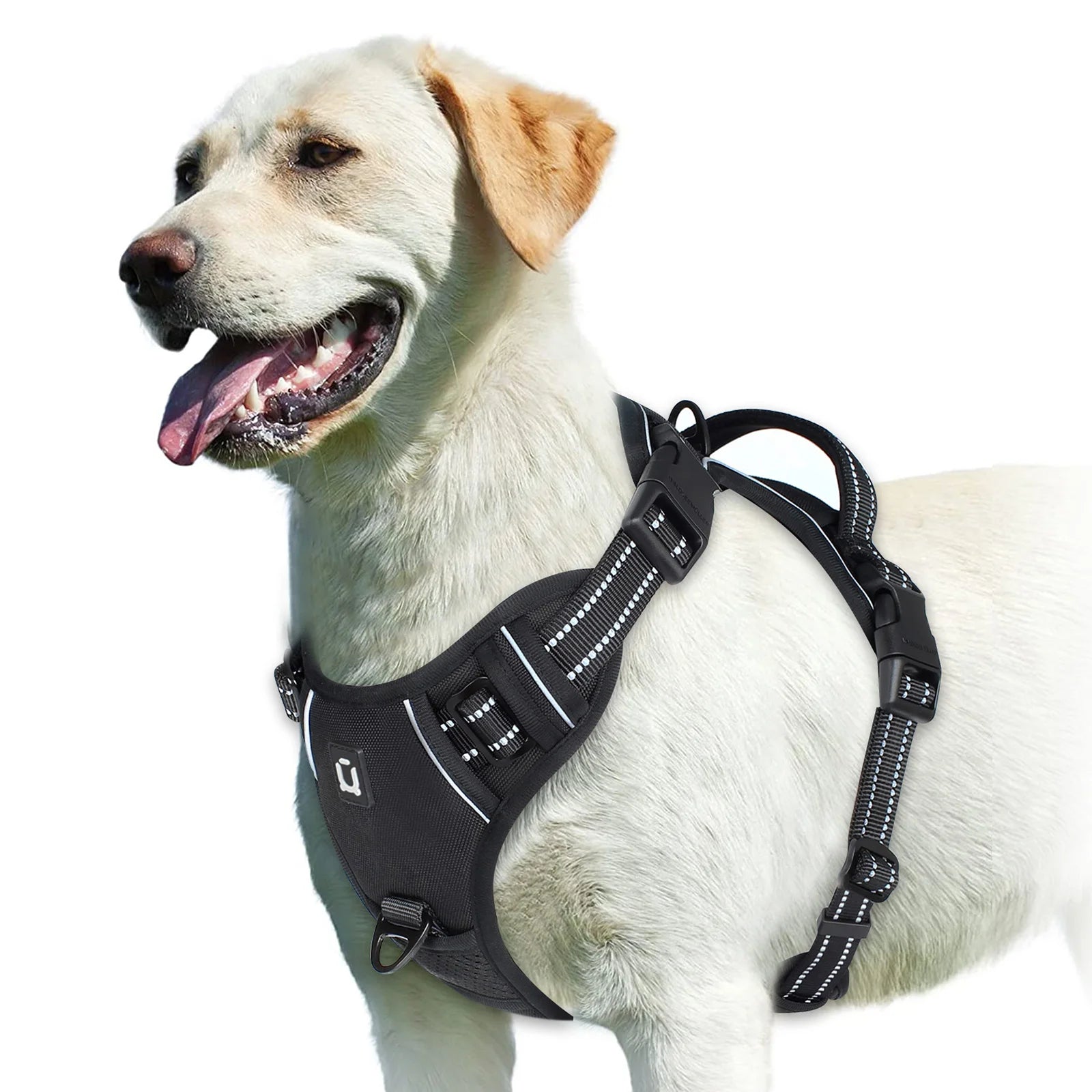 Easy Control Handle No-Pull Vest