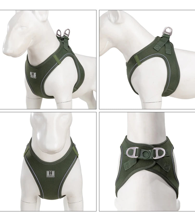 Reflective Outdoor Walking Harness Set