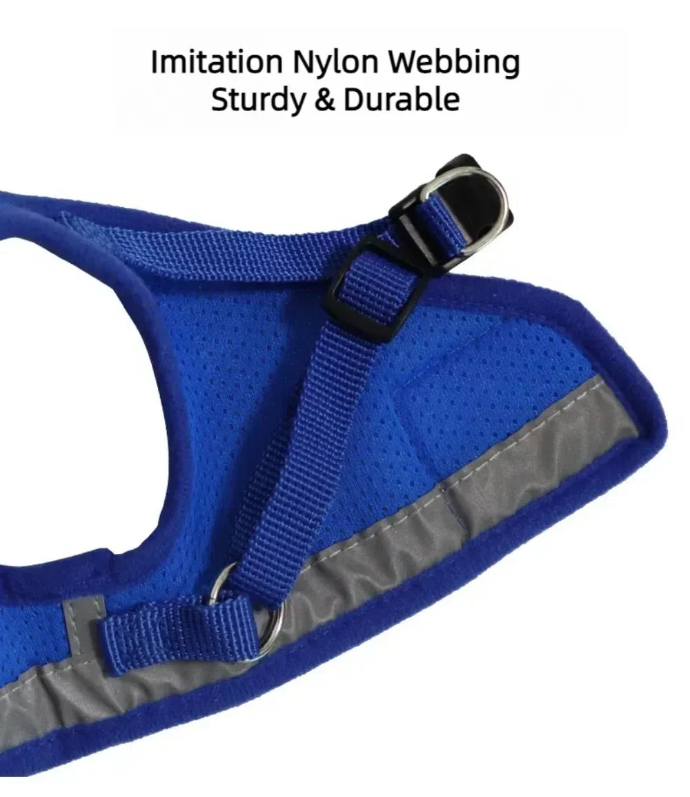 Escape-Proof Mesh Cat Harness Set