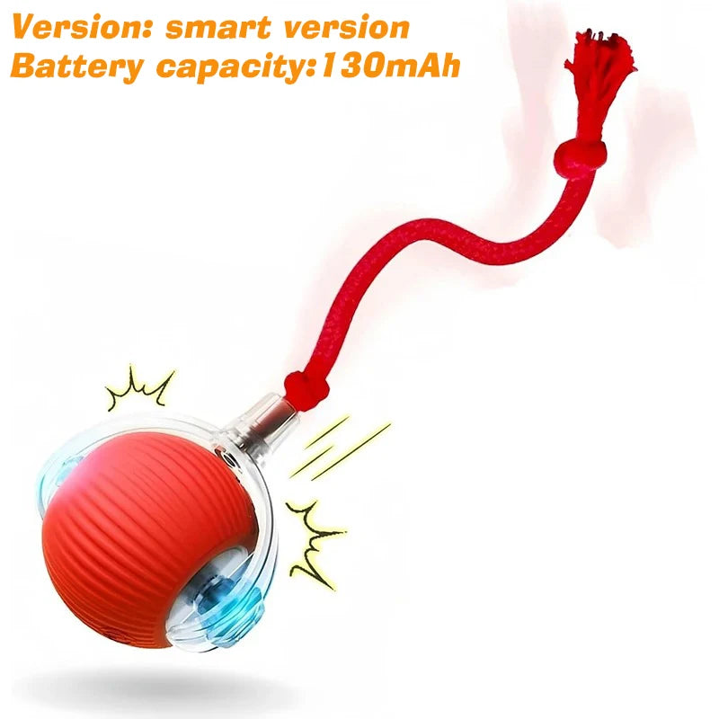 Smart Automatic Rolling Dog Ball
