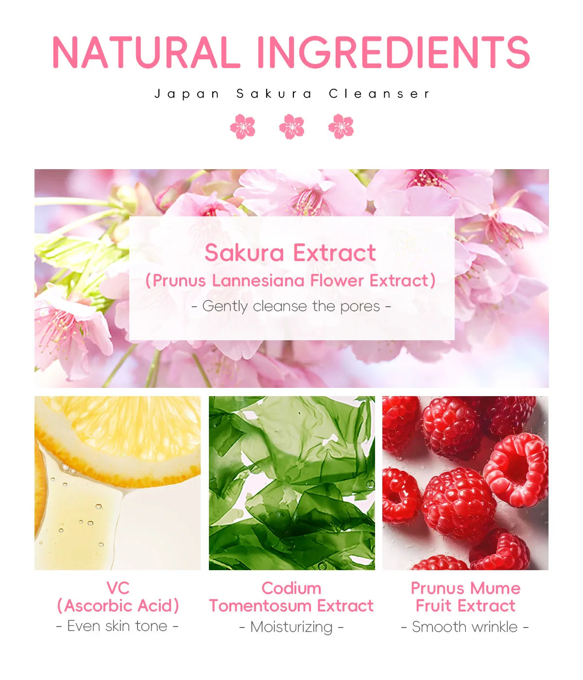 Sakura Gentle Deep Cleanser