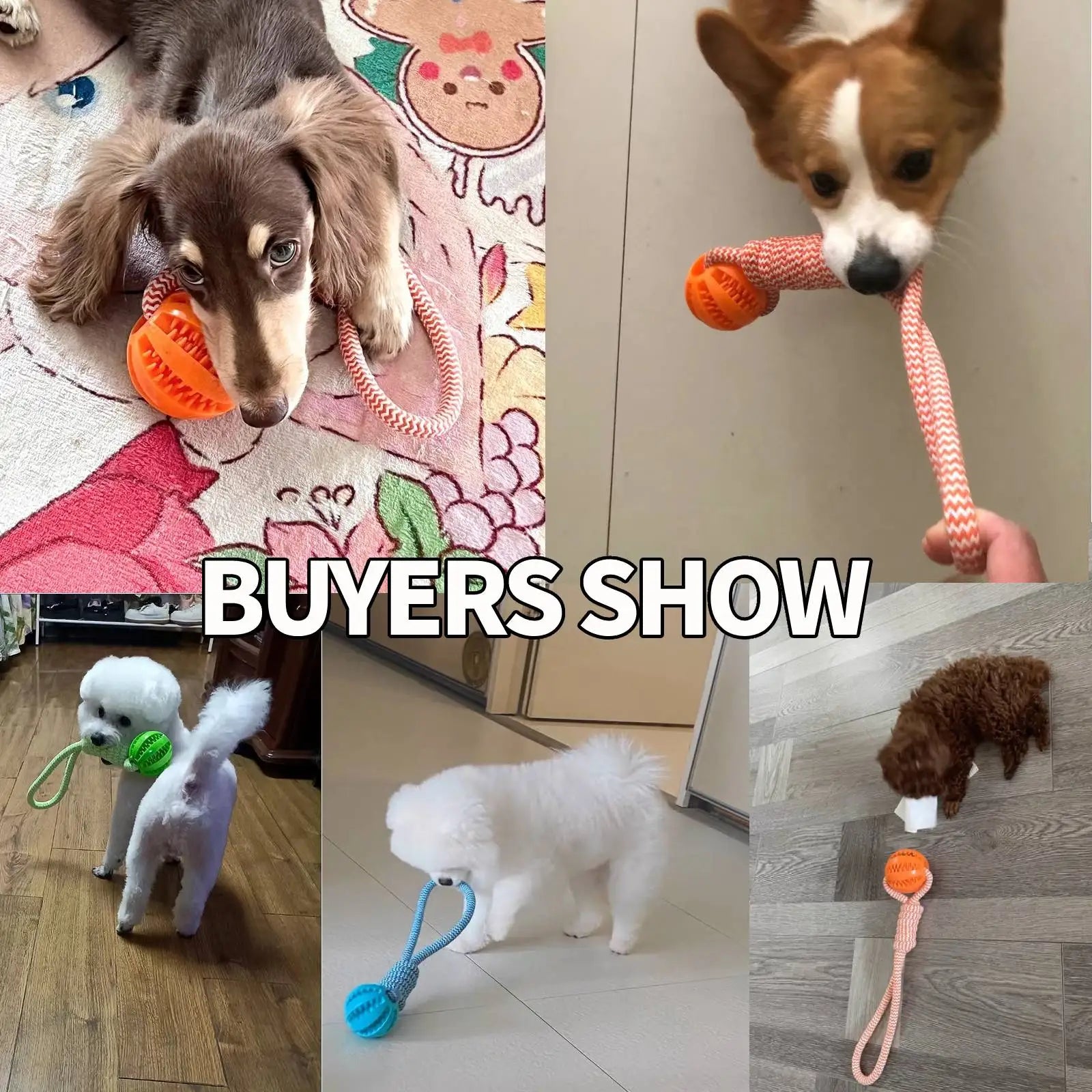 Pet Toy Dog Bite-Resistant Cotton Rope Hand-Held Treat Ball for Teeth Cleaning and Training, Interactive Educational Toy Ball