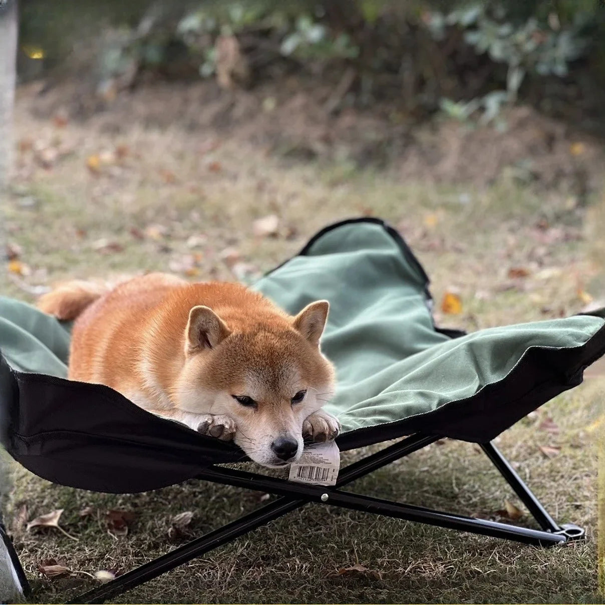 Foldable Outdoor Pet Bed Waterproof Detachable Kennel with Bite Resistant Comfort Pad for Dogs Cats Camping Travel Pet Supplies