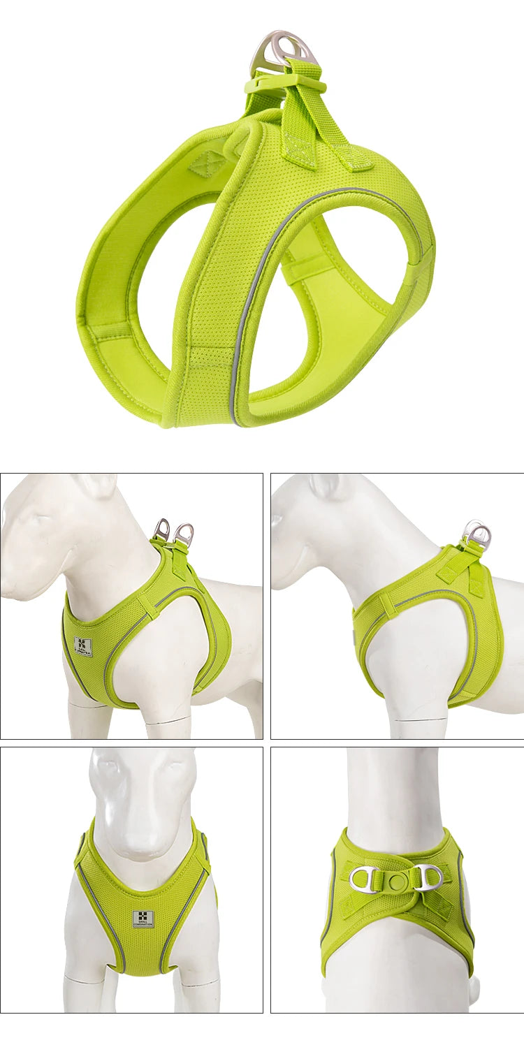 Reflective Outdoor Walking Harness Set