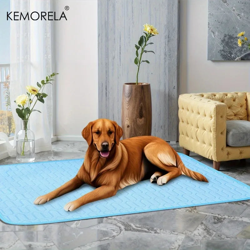 Ice-Cool Sweat Absorbent Pet Mat