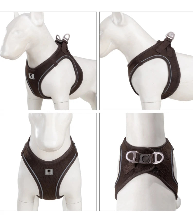 Reflective Outdoor Walking Harness Set