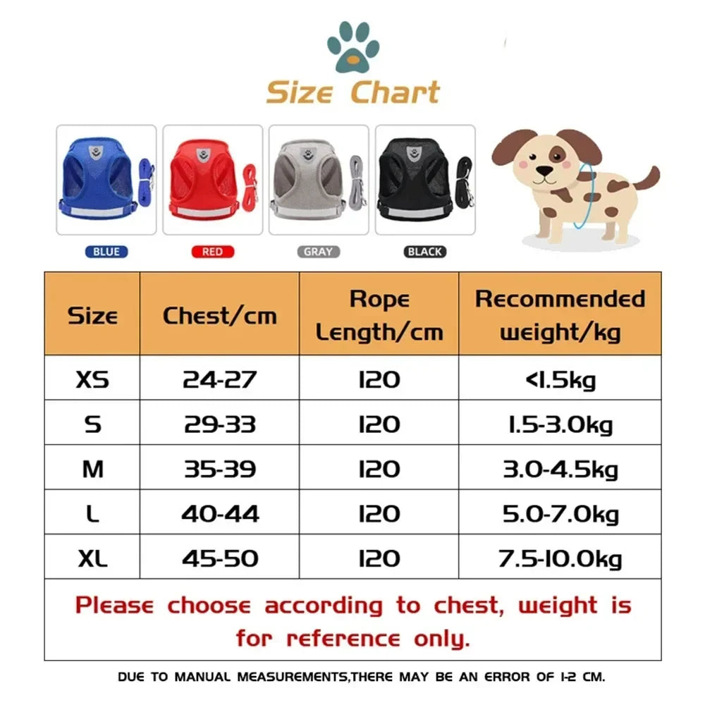 Escape-Proof Mesh Cat Harness Set
