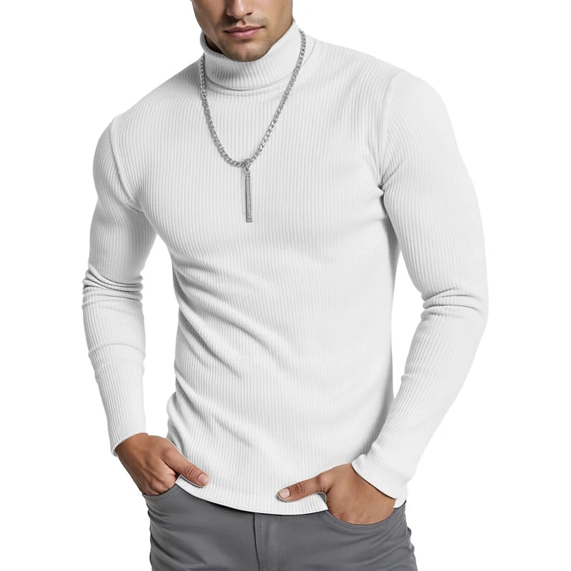 Striped Turtleneck Knit Sweater
