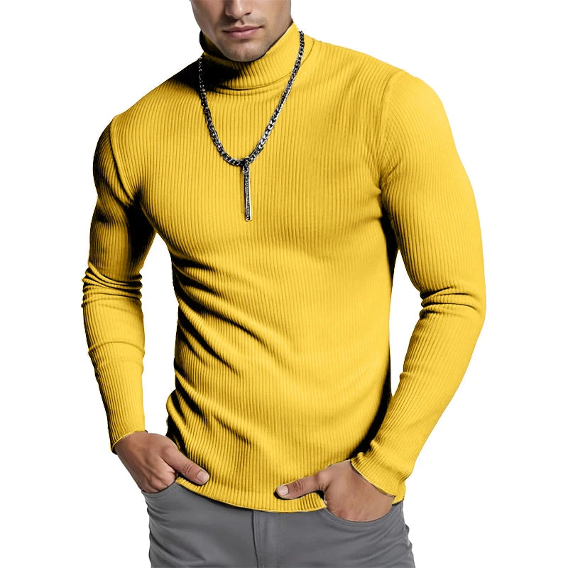 Striped Turtleneck Knit Sweater