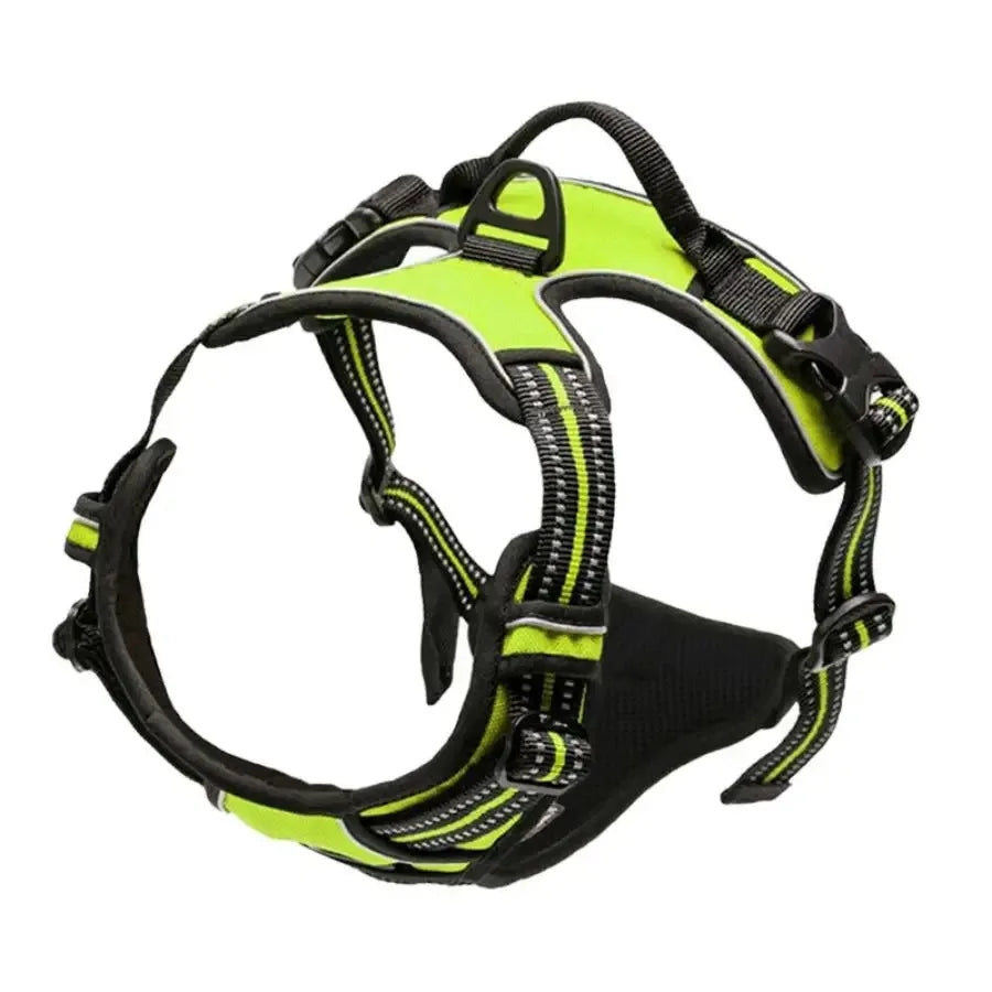 Complete Dog Collar Harness Set