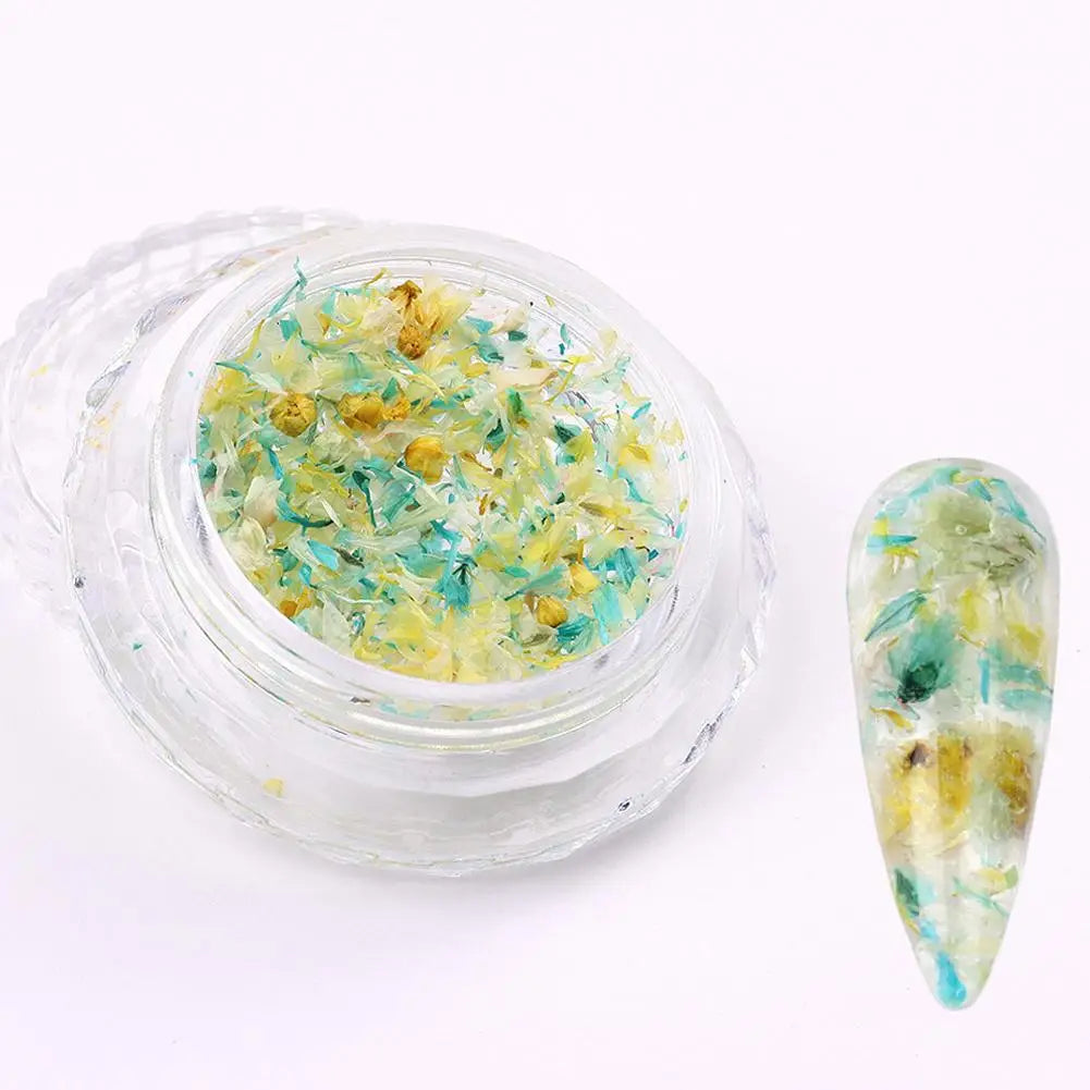 Nail Art Dried Flower Decoration Nail DIY Manicure For Nails Art Jewelry Flower Beauty Salon Decoration E3C5