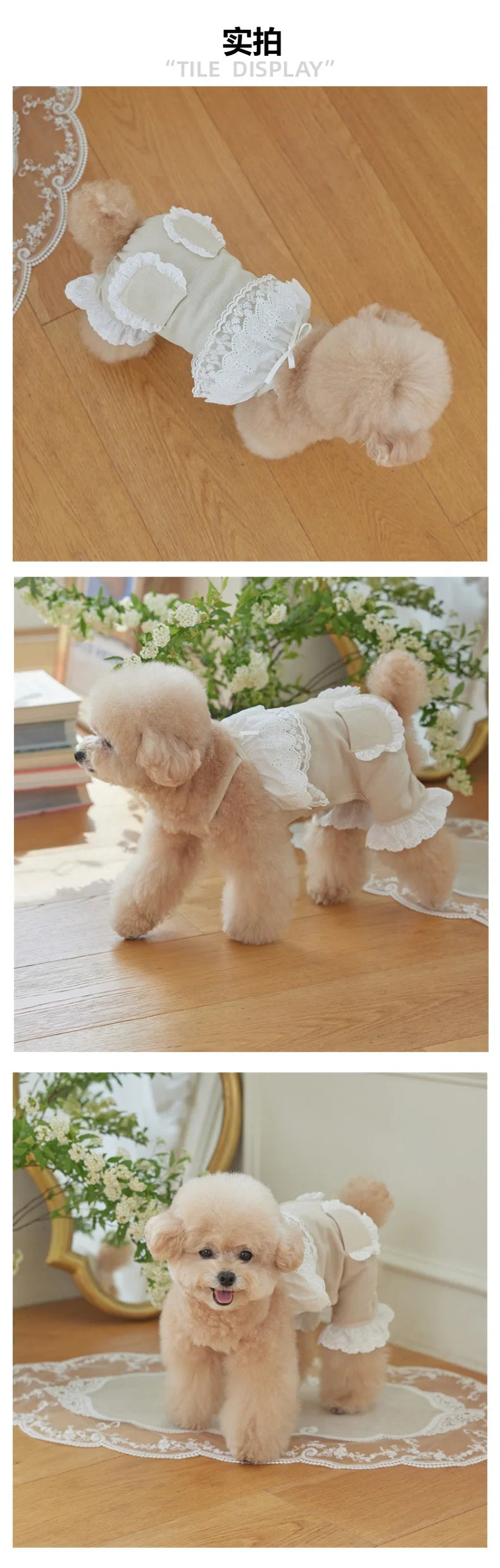 Cute Lace Pet Overalls Jumpsuit