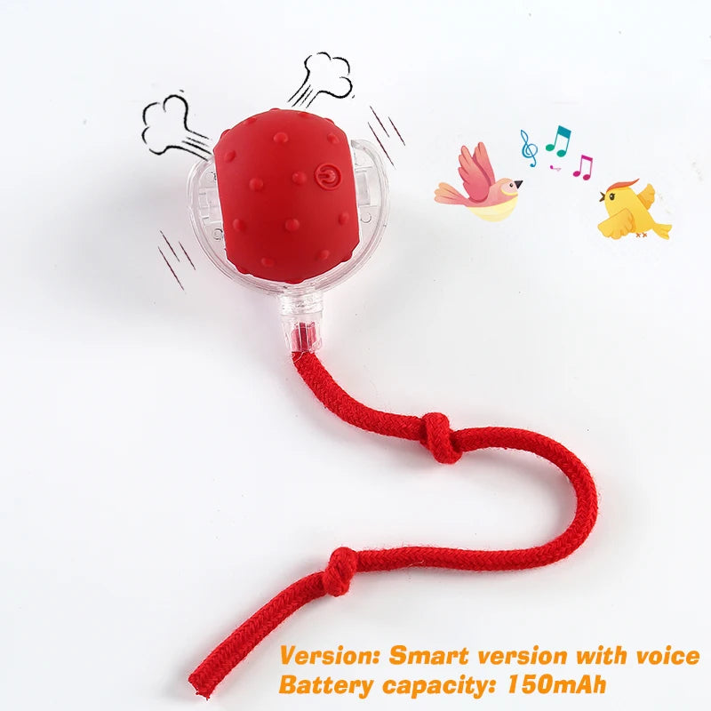 Smart Automatic Rolling Dog Ball