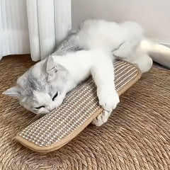 Chew Resistant Cat Scratch Pillow