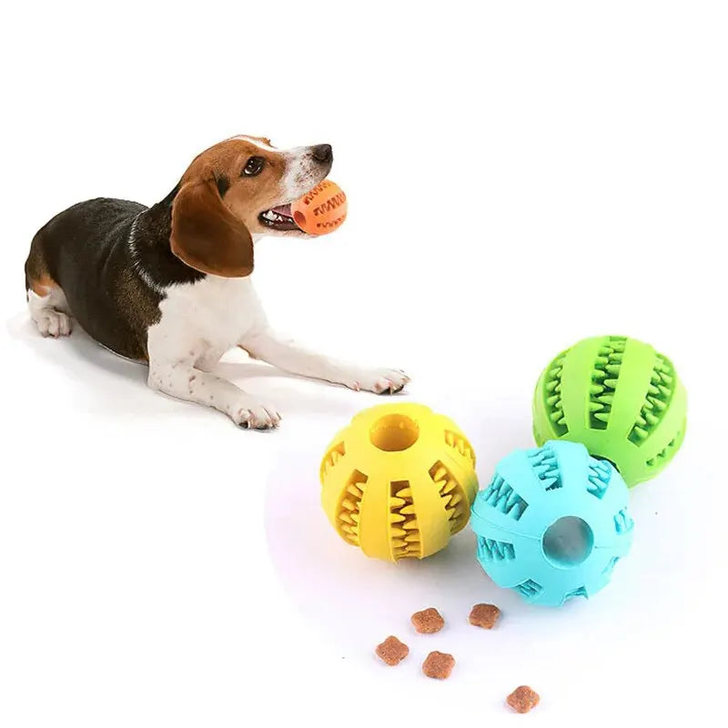 Nontoxic Bite Resistant Treat Ball