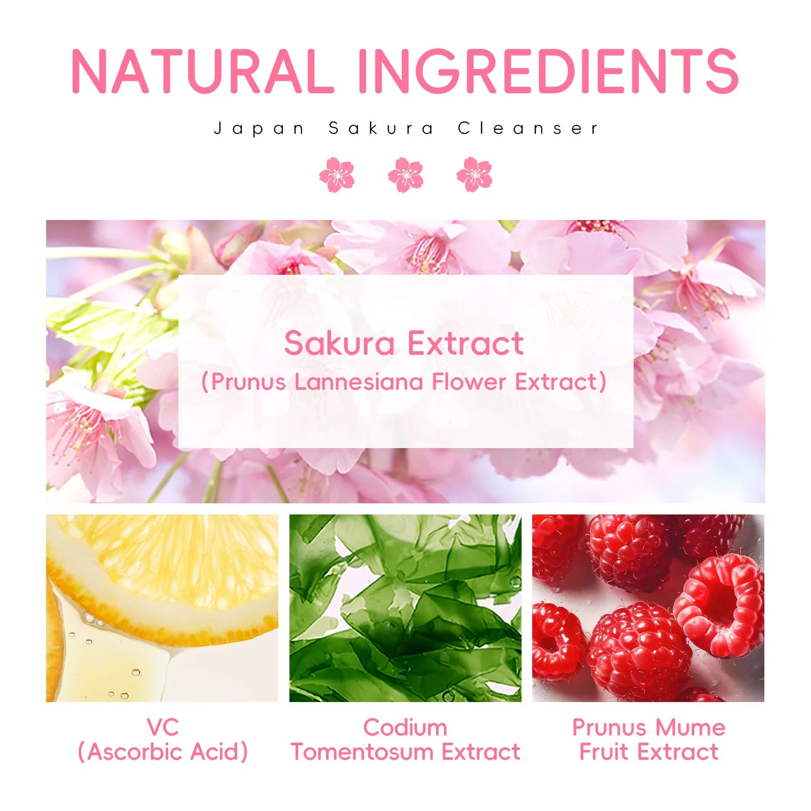 Sakura Gentle Deep Cleanser