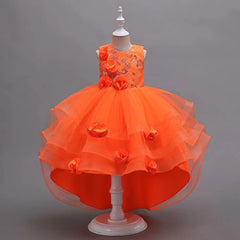 Trailing Princess Party Girls Dress