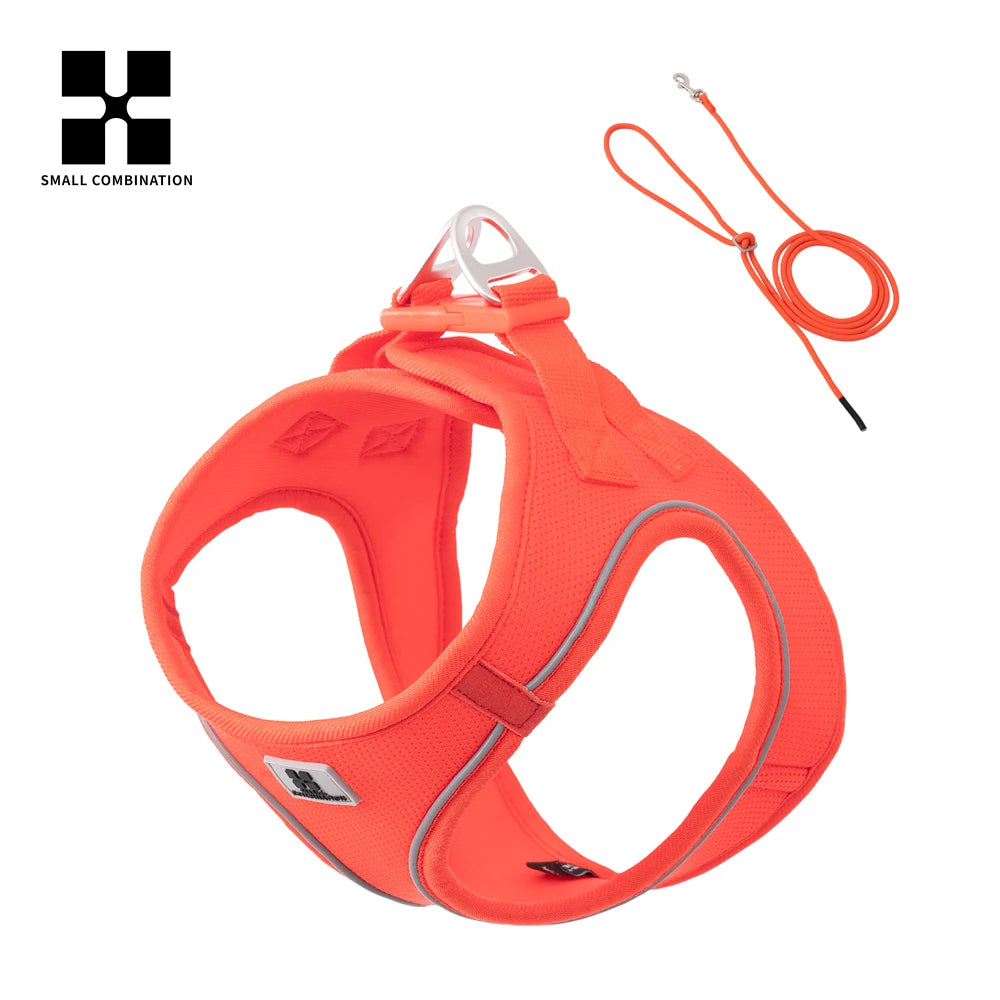Reflective Outdoor Walking Harness Set