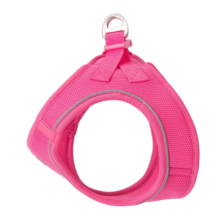 Reflective Outdoor Walking Harness Set