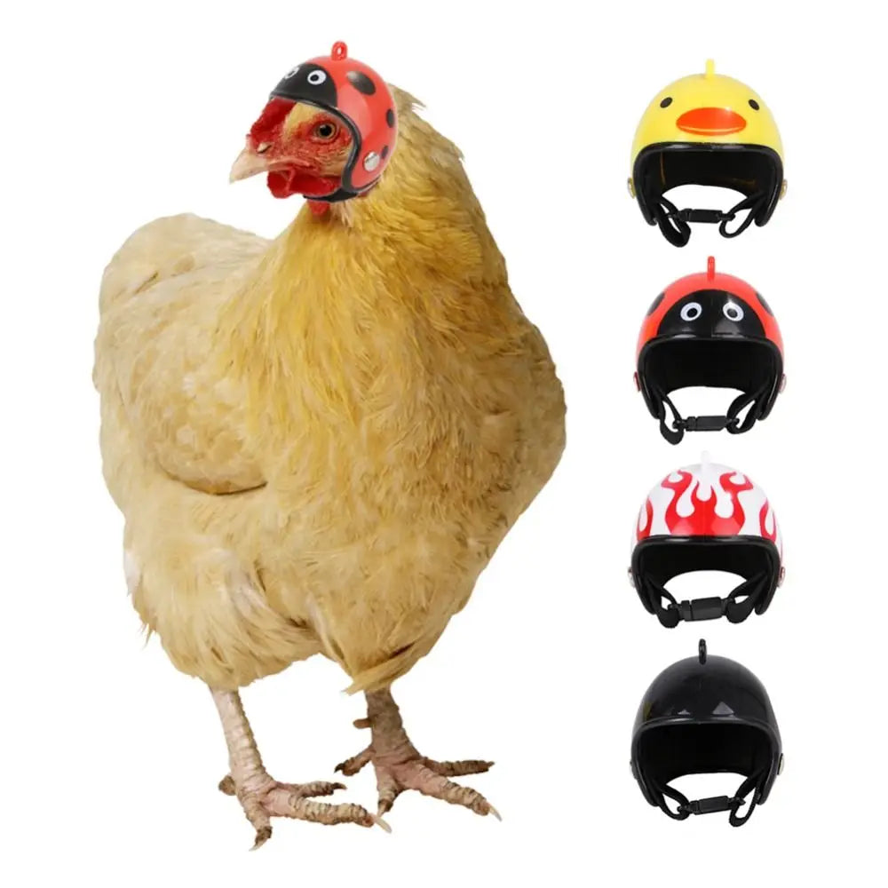 Pet Supplies Accessories Pet Protective Headgear Sun Rain Protection Hats Bird Protect Cap Chicken Helmet