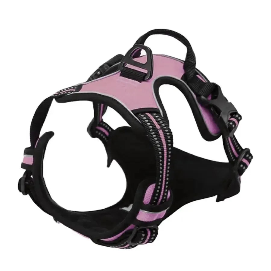 Complete Dog Collar Harness Set