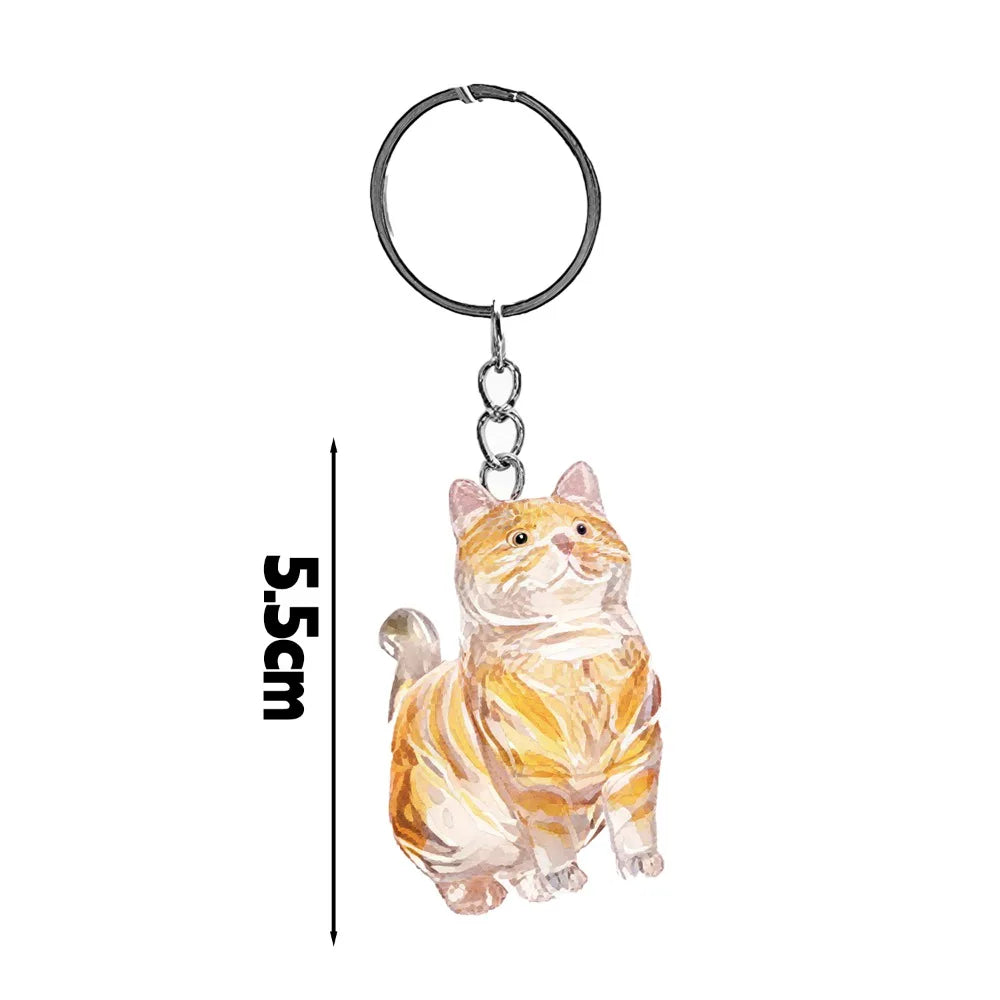 New Cat Hair Storage Keychain Bag Pendant Transparent Pet Fur Keepsake Capsule Souvenir Collection Gift Decoration Accessories