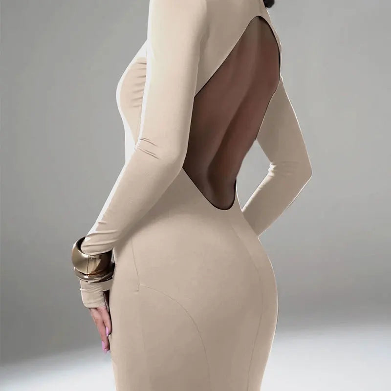 Backless Turtleneck Slim Maxi Dress