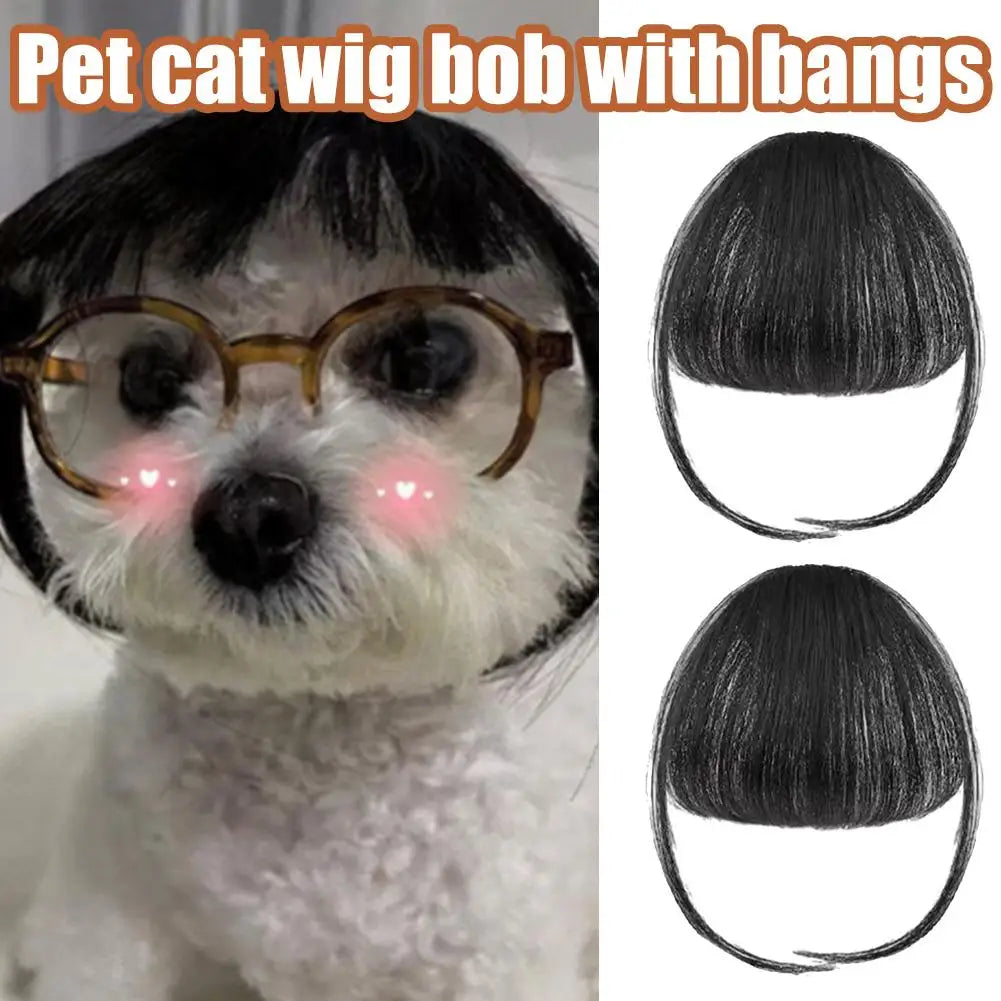 Cat Wig Accessories Dog Headdress Funny Costume Puppy Cosplay Dress Up Cute Pet Wig Cosplay Funny Props Puppy Costumes Supplies