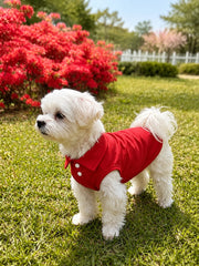 Pet Red Polo Shirt, Classic Collared Shirt for Small Dogs and Cats, Soft and Breathable Puppy Clothing, Comfortable Casual Pet Outfit, Suitable for Daily Walks, Outdoor Activities, and Wearing in Spring, Autumn, and Summer