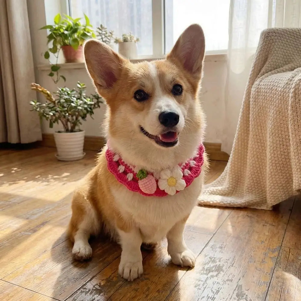 Pet Accessories Adjustable Flower Pet Scarf Bib Sweet Handmade Cat Strawberry Collar Decorative Cozy Cat Woven Bib Photo Shoots