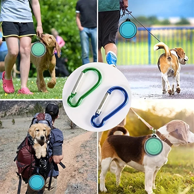 Collapsible Lidded Travel Water Dish