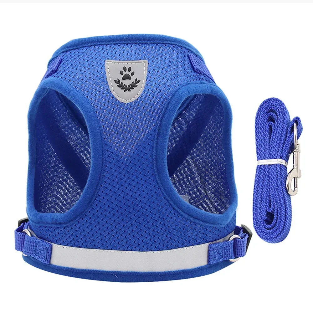 Escape-Proof Mesh Cat Harness Set
