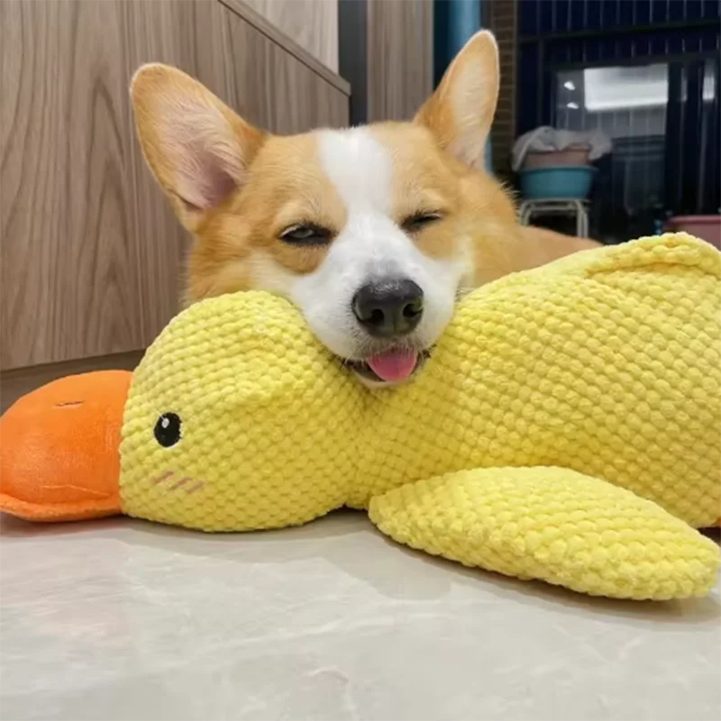 Cuddly Yellow Duck Squeak Toy