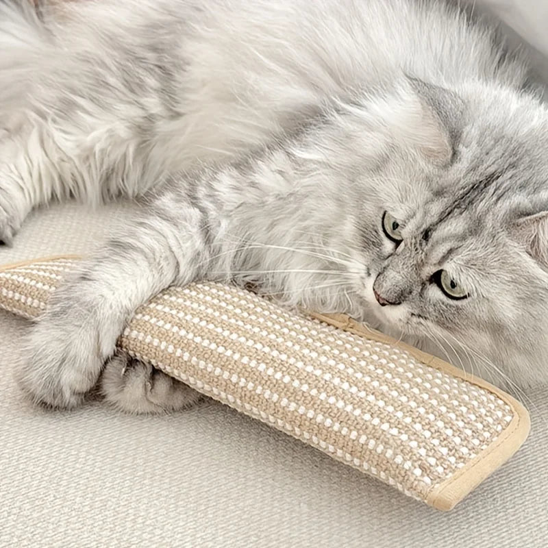 Chew Resistant Cat Scratch Pillow