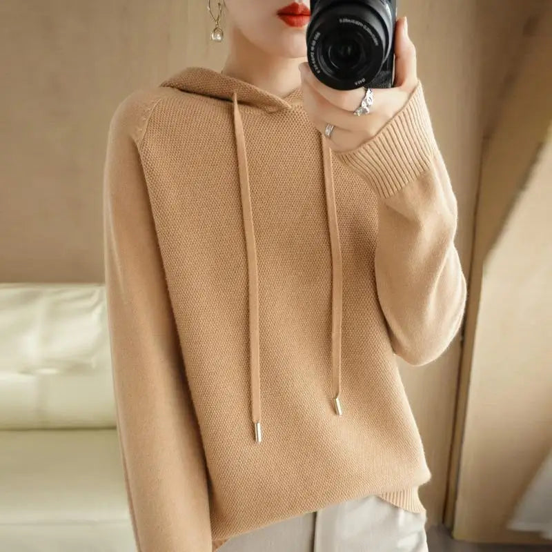 Soft Knit Hooded Pullover Sweater