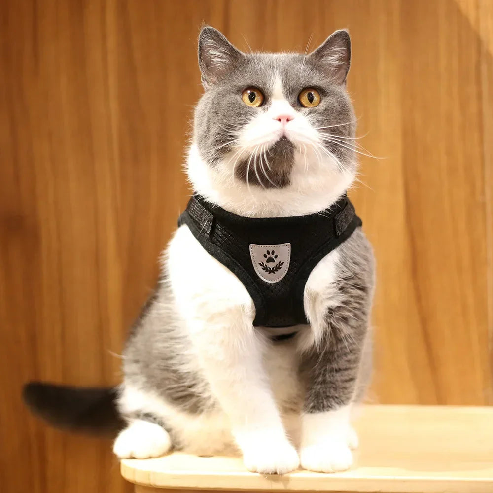 Escape-Proof Mesh Cat Harness Set