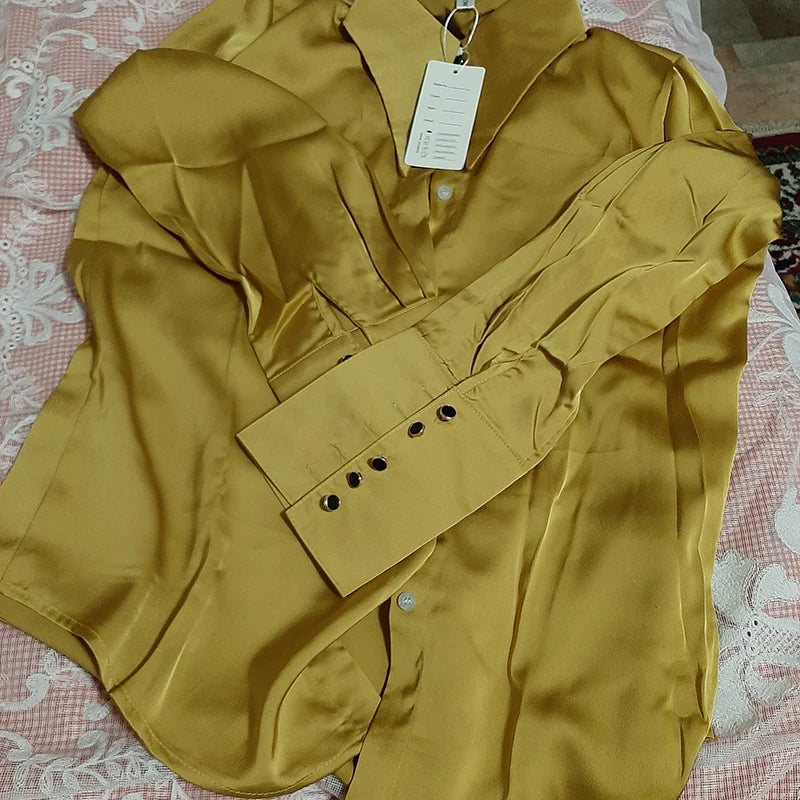 Elegant Satin Office Casual Shirt