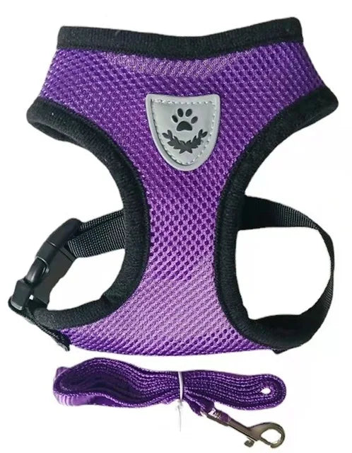 Breathable Mesh Vest Lead Leash